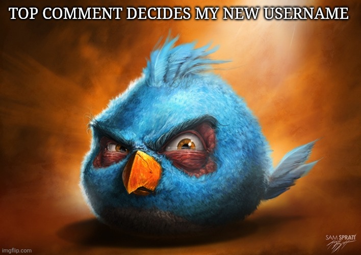 angry birds blue | TOP COMMENT DECIDES MY NEW USERNAME | image tagged in angry birds blue,im nervous,please dont put anything crazy | made w/ Imgflip meme maker