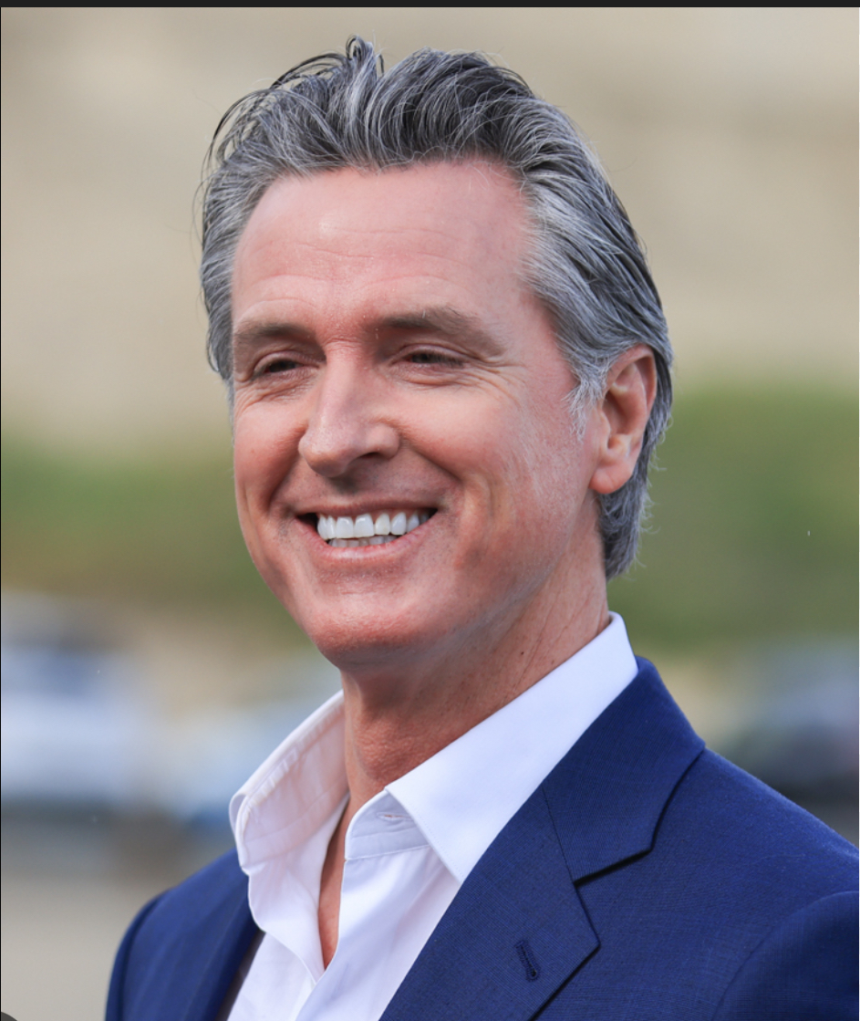 Newsom Bobble Head Blank Meme Template