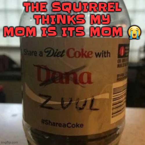 there is no diet, only zero | THE SQUIRREL THINKS MY MOM IS ITS MOM 😭 | image tagged in there is no diet only zero | made w/ Imgflip meme maker