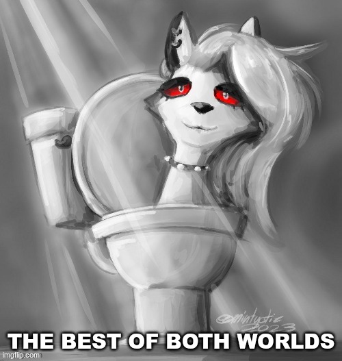 Skibidi loona | THE BEST OF BOTH WORLDS | image tagged in skibidi loona | made w/ Imgflip meme maker