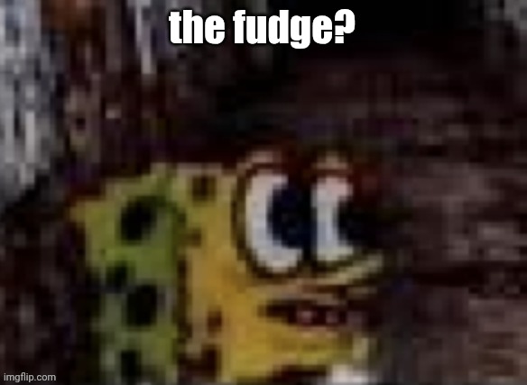 spunch bop trauma | the fudge? | image tagged in spunch bop trauma | made w/ Imgflip meme maker