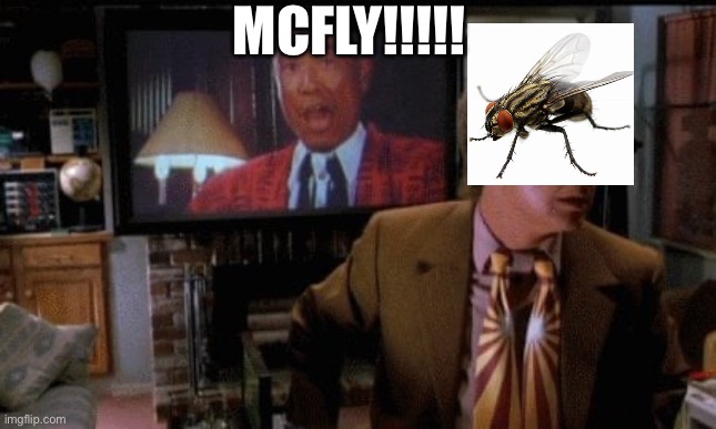 Back to the future | MCFLY!!!!! | image tagged in lazy memes | made w/ Imgflip meme maker