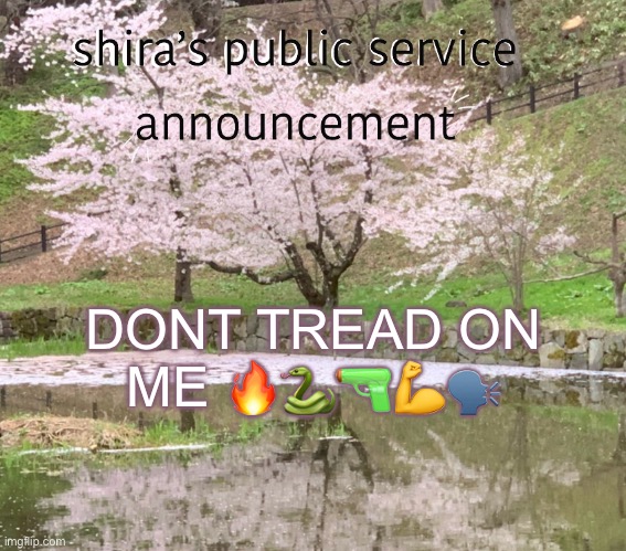 shira’s PSA | DONT TREAD ON ME 🔥🐍🔫💪🗣️ | image tagged in shira s psa | made w/ Imgflip meme maker