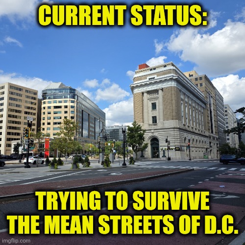 Mean Streets of D.C. | CURRENT STATUS:; TRYING TO SURVIVE THE MEAN STREETS OF D.C. | image tagged in d c | made w/ Imgflip meme maker