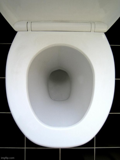 1 spot left (meet alfrendo btw) | image tagged in toilet | made w/ Imgflip meme maker