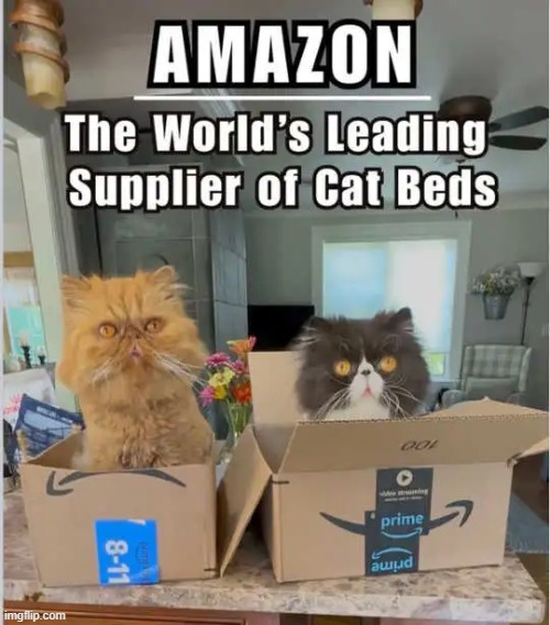 Cat Approved! | image tagged in cats,boxes,amazon,zzzz,funny cat memes | made w/ Imgflip meme maker