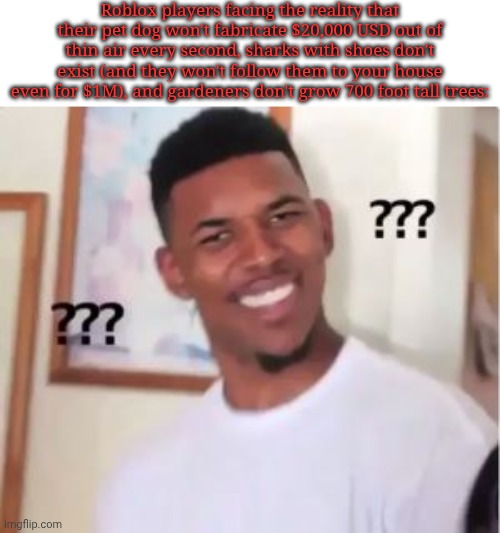 front page lore | Roblox players facing the reality that their pet dog won't fabricate $20,000 USD out of thin air every second, sharks with shoes don't exist (and they won't follow them to your house even for $1M), and gardeners don't grow 700 foot tall trees: | image tagged in nick young,front page,gag,sab,grow a garden,steal a brainrot | made w/ Imgflip meme maker