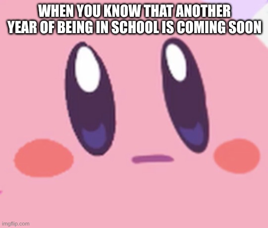 Another Year Of Hell | WHEN YOU KNOW THAT ANOTHER YEAR OF BEING IN SCHOOL IS COMING SOON | image tagged in blank kirby face | made w/ Imgflip meme maker