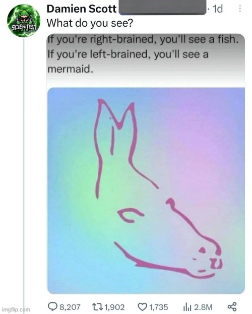 i see a seal, what does this mean | made w/ Imgflip meme maker