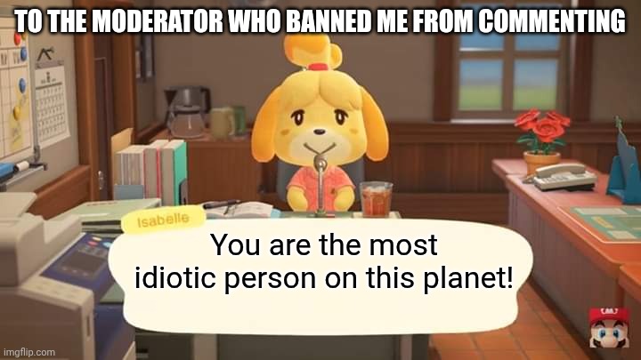 if this happens one more time, i swear to god. | TO THE MODERATOR WHO BANNED ME FROM COMMENTING; You are the most idiotic person on this planet! | image tagged in isabelle animal crossing announcement,i hate you | made w/ Imgflip meme maker