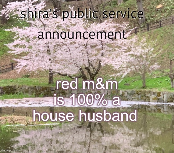 shira’s PSA | red m&m is 100% a house husband | image tagged in shira s psa | made w/ Imgflip meme maker