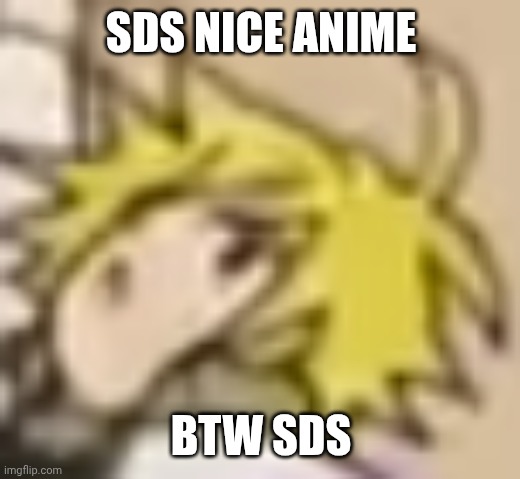 meliodas surprised face | SDS NICE ANIME; BTW SDS | image tagged in meliodas surprised face | made w/ Imgflip meme maker