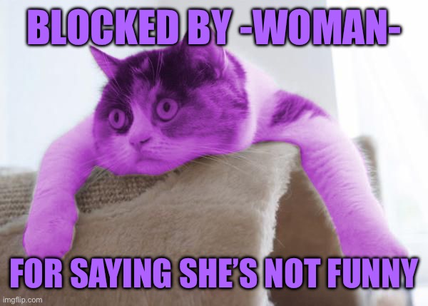 RayCat Stare | BLOCKED BY -WOMAN-; FOR SAYING SHE’S NOT FUNNY | image tagged in raycat stare | made w/ Imgflip meme maker