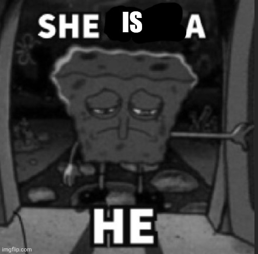 She was a he | IS | image tagged in she was a he | made w/ Imgflip meme maker