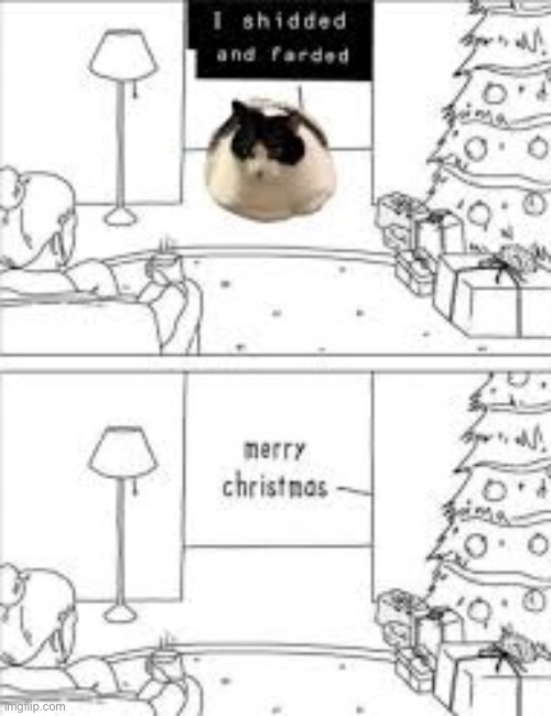 I Shidded | image tagged in cats,funny cats,poop,farted,merry christmas,shidded and farded | made w/ Imgflip meme maker