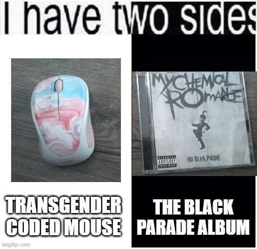 the personal things i got today at walmart | THE BLACK PARADE ALBUM; TRANSGENDER CODED MOUSE | image tagged in i have two sides | made w/ Imgflip meme maker