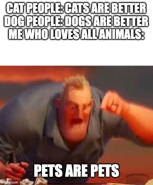 Are you a cat or a dog person? | CAT PEOPLE: CATS ARE BETTER
DOG PEOPLE: DOGS ARE BETTER
ME WHO LOVES ALL ANIMALS:; PETS ARE PETS | image tagged in mr incredible mad | made w/ Imgflip meme maker
