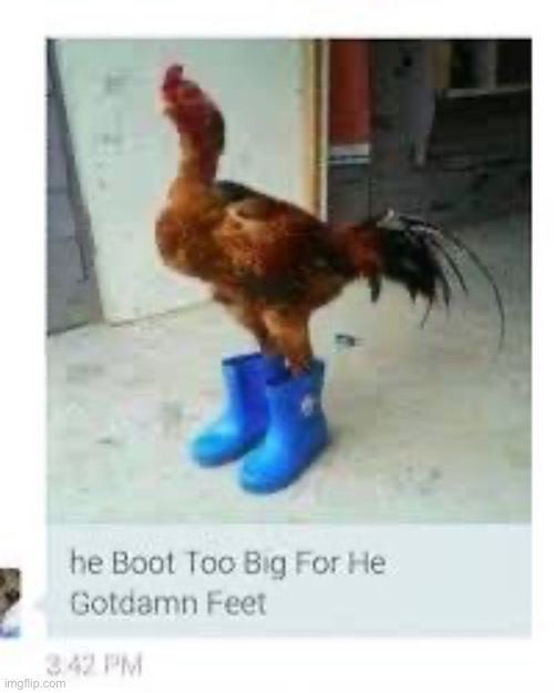 chicken | made w/ Imgflip meme maker
