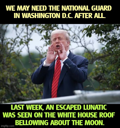 WE MAY NEED THE NATIONAL GUARD 
IN WASHINGTON D.C. AFTER ALL. LAST WEEK, AN ESCAPED LUNATIC 
WAS SEEN ON THE WHITE HOUSE ROOF 
BELLOWING ABOUT THE MOON. | image tagged in trump,white house,roof,lunatic,crazy,national guard | made w/ Imgflip meme maker