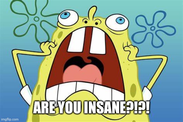Spongebob Screaming | ARE YOU INSANE?!?! | image tagged in spongebob screaming | made w/ Imgflip meme maker