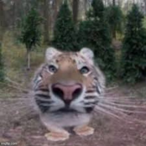 apex predator | made w/ Imgflip meme maker