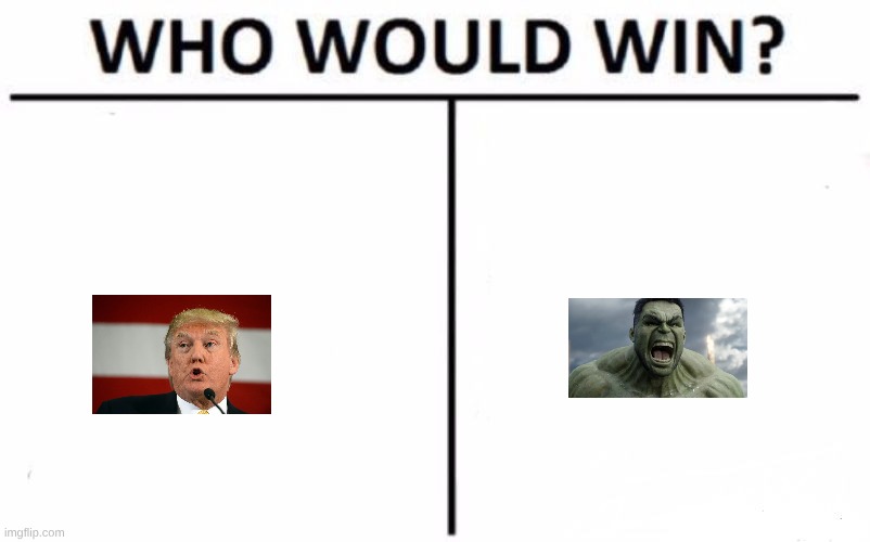 Who Would Win? Meme | image tagged in memes,who would win | made w/ Imgflip meme maker