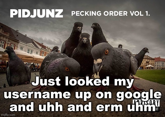 PIDJUNZ: Pecking Order Vol 1. | Just looked my username up on google and uhh and erm uhm | image tagged in pidjunz pecking order vol 1 | made w/ Imgflip meme maker