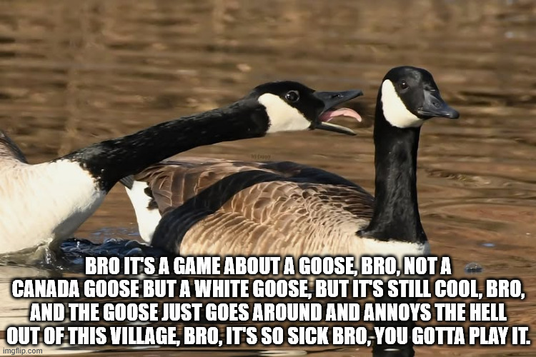 untitled goose bro | BRO IT'S A GAME ABOUT A GOOSE, BRO, NOT A CANADA GOOSE BUT A WHITE GOOSE, BUT IT'S STILL COOL, BRO, AND THE GOOSE JUST GOES AROUND AND ANNOYS THE HELL OUT OF THIS VILLAGE, BRO, IT'S SO SICK BRO, YOU GOTTA PLAY IT. | image tagged in goose bro | made w/ Imgflip meme maker