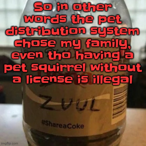 there is no diet, only zero | So in other words the pet distribution system chose my family, even tho having a pet squirrel without a license is illegal | image tagged in there is no diet only zero | made w/ Imgflip meme maker