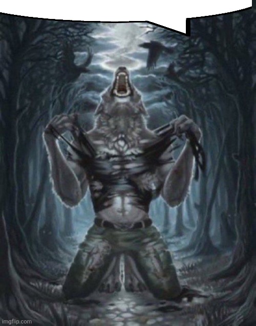 alpha wolf | image tagged in alpha wolf | made w/ Imgflip meme maker