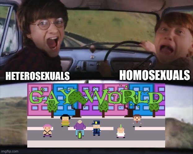 Gay world?  what is that trash? | HOMOSEXUALS; HETEROSEXUALS | image tagged in tom chasing harry and ron weasly,homophobia,video game,russia | made w/ Imgflip meme maker