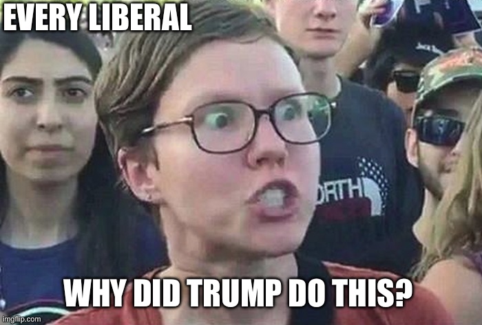 Triggered Liberal | EVERY LIBERAL WHY DID TRUMP DO THIS? | image tagged in triggered liberal | made w/ Imgflip meme maker