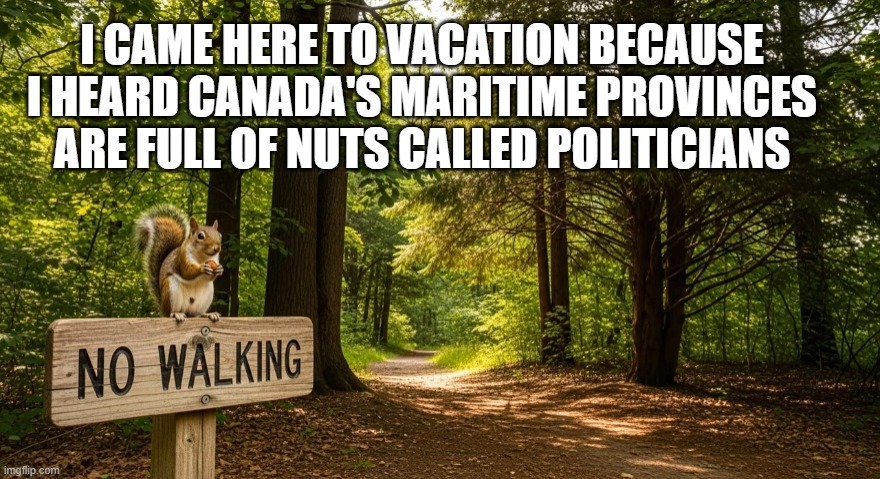 I CAME HERE TO VACATION BECAUSE I HEARD CANADA'S MARITIME PROVINCES ARE FULL OF NUTS CALLED POLITICIANS | made w/ Imgflip meme maker
