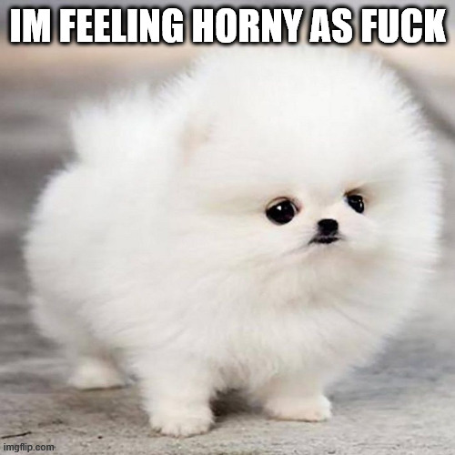 #awesome | IM FEELING HORNY AS FUCK | made w/ Imgflip meme maker