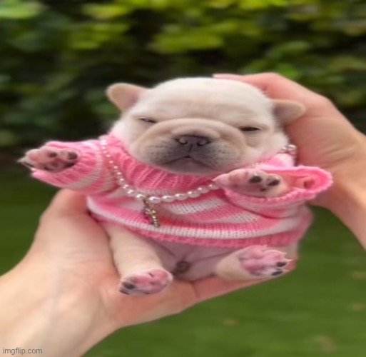 precious little me | made w/ Imgflip meme maker