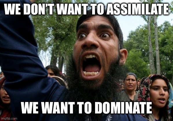 rageboy screaming islamist | WE DON’T WANT TO ASSIMILATE WE WANT TO DOMINATE | image tagged in rageboy screaming islamist | made w/ Imgflip meme maker