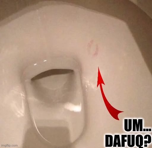Toilet Kisser | UM... DAFUQ? | image tagged in gross,dafuq,kisses,potty,lipstick,funny memes | made w/ Imgflip meme maker