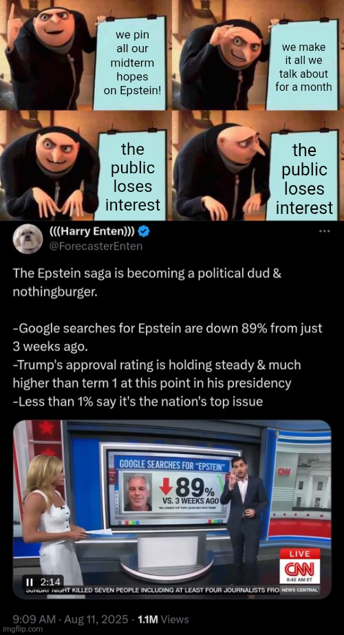 Democrat midterm chances didn't kill themselves | we pin all our midterm hopes on Epstein! we make it all we talk about for a month; the public loses interest; the public loses interest | image tagged in gru's plan,political meme,epstein,stupid liberals | made w/ Imgflip meme maker