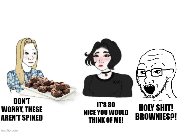 Joke I made with my Sister | IT'S SO NICE YOU WOULD THINK OF ME! HOLY SHIT! BROWNIES?! DON'T WORRY, THESE AREN'T SPIKED | made w/ Imgflip meme maker