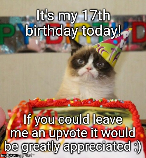 Because on your birthday is the only day where its acceptable to upvote beg lol | image tagged in funnycat | made w/ Imgflip meme maker