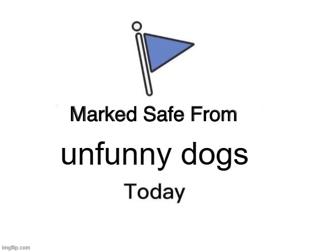 reply with a funny dog pic | made w/ Imgflip meme maker