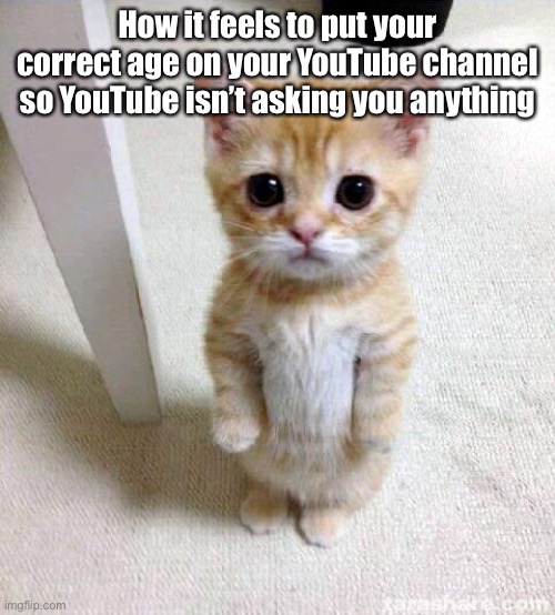 Cute Cat | How it feels to put your correct age on your YouTube channel so YouTube isn’t asking you anything | image tagged in memes,cute cat | made w/ Imgflip meme maker