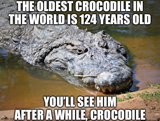 In a while, crocodile | THE OLDEST CROCODILE IN THE WORLD IS 124 YEARS OLD; YOU’LL SEE HIM AFTER A WHILE, CROCODILE | image tagged in crocodile,i see you,it's a surprise tool that will help us later,old | made w/ Imgflip meme maker