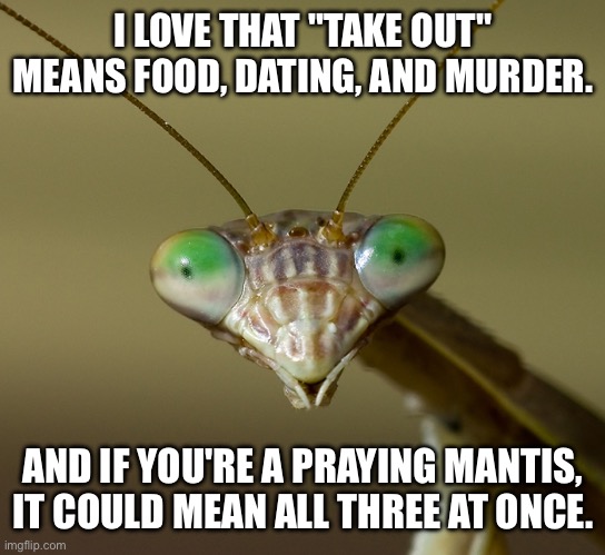Take me out | I LOVE THAT "TAKE OUT" MEANS FOOD, DATING, AND MURDER. AND IF YOU'RE A PRAYING MANTIS, IT COULD MEAN ALL THREE AT ONCE. | image tagged in praying mantis head,praying mantis,take,out,murder | made w/ Imgflip meme maker