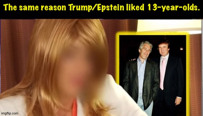 The same reason Trump/Epstein liked 13-year-olds. | made w/ Imgflip meme maker