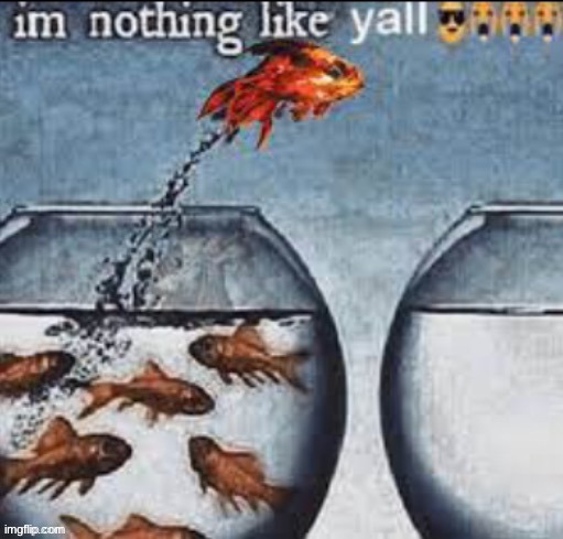 I posted what the top comment was | made w/ Imgflip meme maker