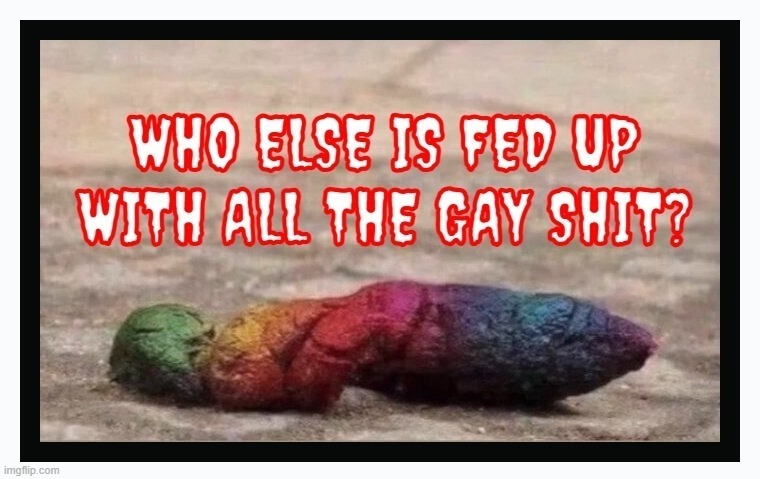 Who else is fed up with all the gay shit? | image tagged in gay shit,shitpost,poop,ew i stepped in shit,turds,lgbtq | made w/ Imgflip meme maker