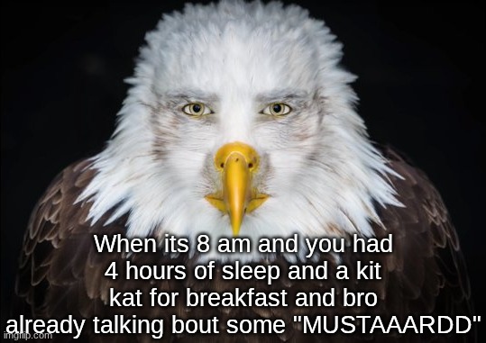 Bald Eagle Stare | When its 8 am and you had 4 hours of sleep and a kit kat for breakfast and bro already talking bout some "MUSTAAARDD" | image tagged in bald eagle stare | made w/ Imgflip meme maker