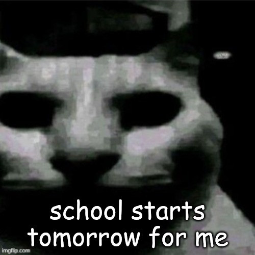 uncanny cat | school starts tomorrow for me | image tagged in uncanny cat | made w/ Imgflip meme maker