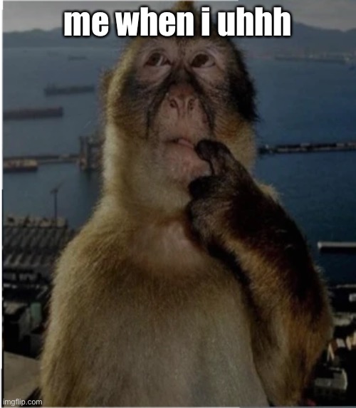 thinking monkey | me when i uhhh | image tagged in thinking monkey | made w/ Imgflip meme maker